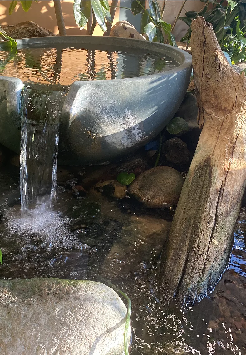 A spillway bowl pouring into a stone basin beside a piece of driftwood