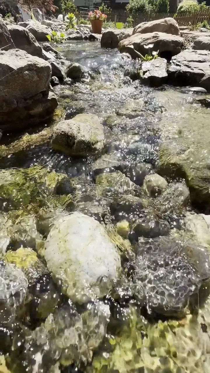 A shallow stream rushing over rounded stones