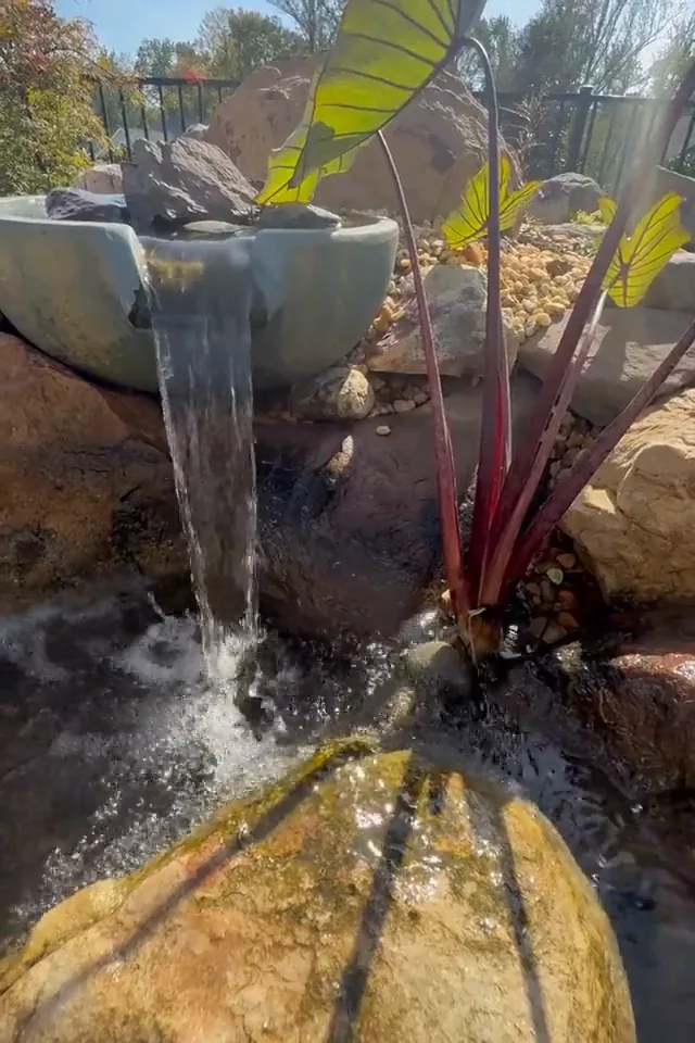 A spillway bowl pouring a sheet of water onto stone beside a tall plant