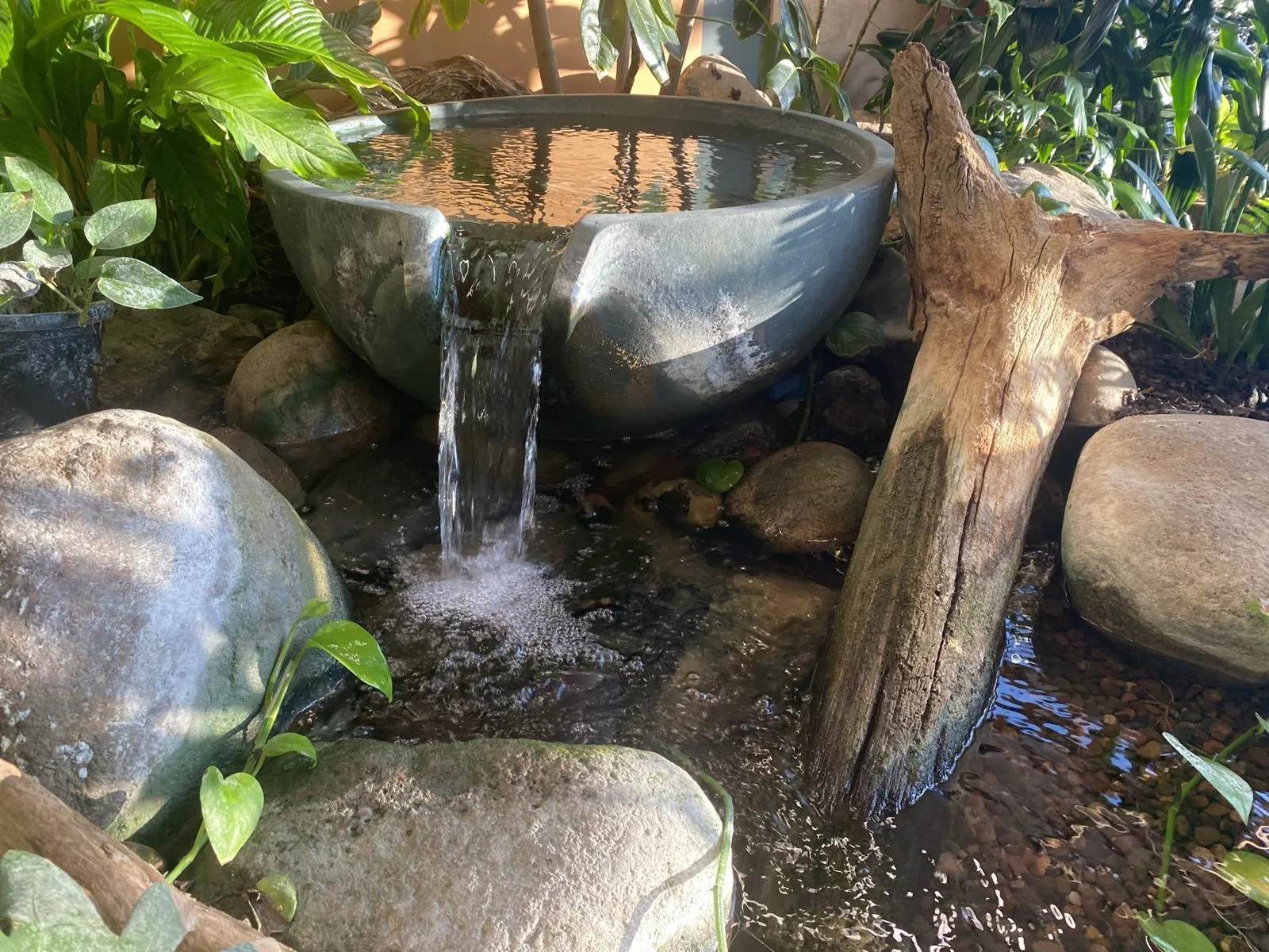 A spillway bowl pouring into a stone basin among plants and driftwood