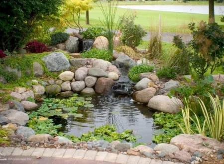Koi Pond Contractor in Richmond, VA