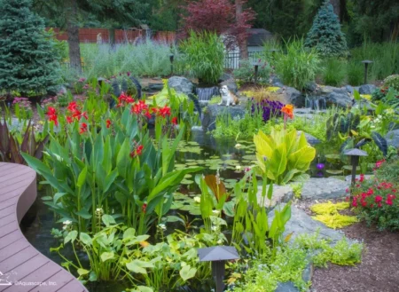 Aquascape Pond Contractor in Richmond, VA