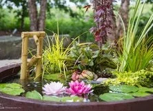 Mini-Pond Contractor in Richmond, VA