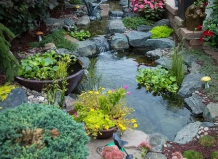 Ecosystem Pond Contractor in Richmond, VA