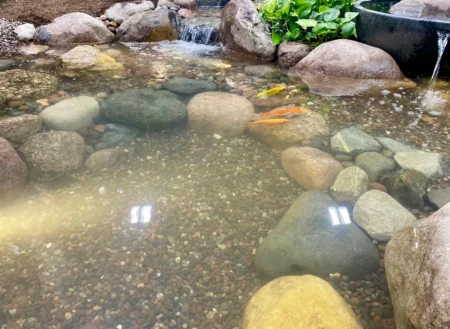 Koi Pond Builders in Richmond, VA