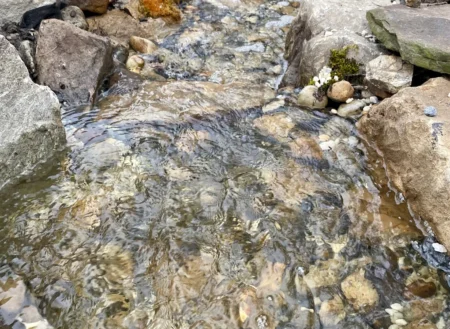 Water Feature Contractor in Richmond, VA