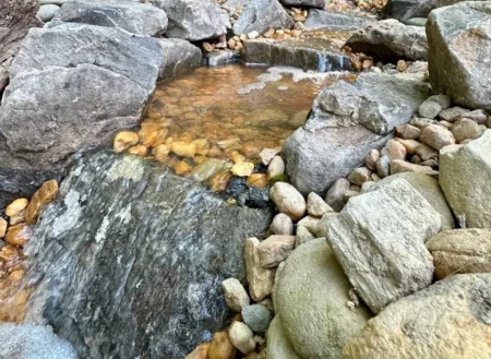 Koi Pond | Aquascape & Water Features Richmond, VA