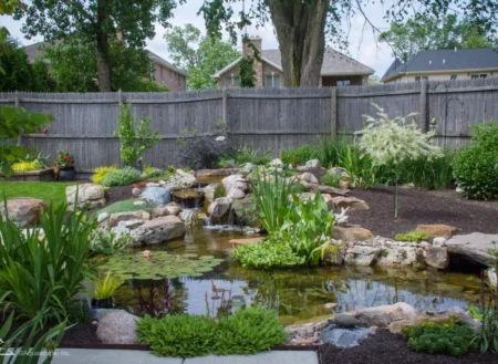 Koi Pond | Aquascape & Water Features Richmond, VA