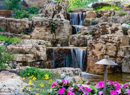 Koi Pond | Aquascape & Water Features Richmond, VA