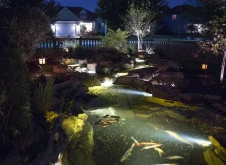 Koi Pond | Aquascape & Water Features Richmond, VA