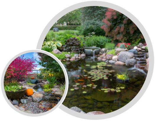 Koi Pond | Aquascape & Water Features Richmond, VA