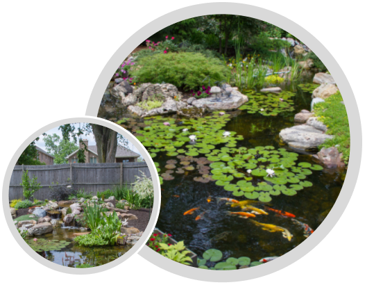 Koi Pond | Aquascape & Water Features Richmond, VA