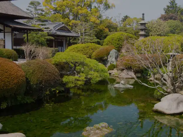 Koi Pond | Aquascape & Water Features Richmond, VA