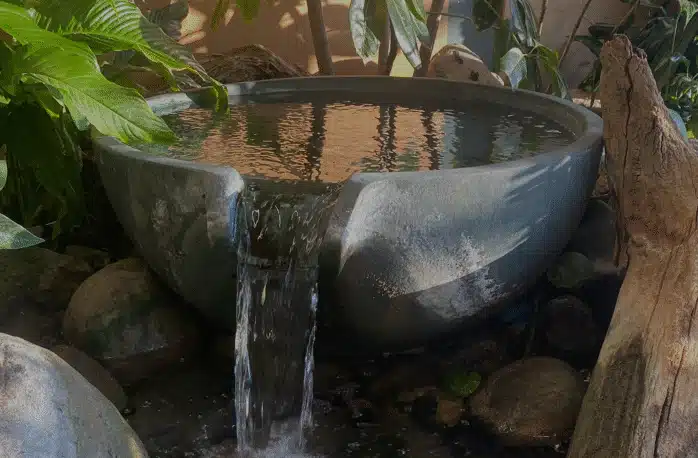 Koi Pond | Aquascape & Water Features Richmond, VA