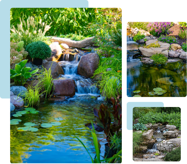 Koi Pond | Aquascape & Water Features Richmond, VA